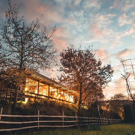 Vale Da Silva Villas - Homes Albergaria-a-Velha Εξωτερικό φωτογραφία