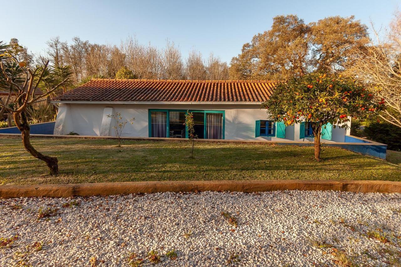 Vale Da Silva Villas - Homes Albergaria-a-Velha Εξωτερικό φωτογραφία